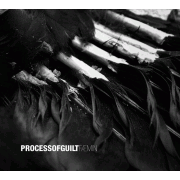 Process Of Guilt: F&aelig;min