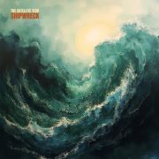 The Satellite Year: Shipwreck