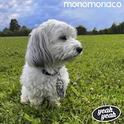 Monomonaco: Yeah Yeah