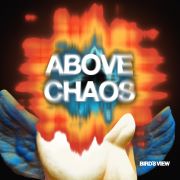 Bird’s View: Above Chaos