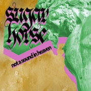 Sugar Horse: Not A Sound In Heaven